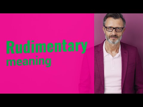 Rudimentary | Definition of rudimentary