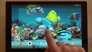 fish moving animated android koi phones 3d tablets picserio coral px
