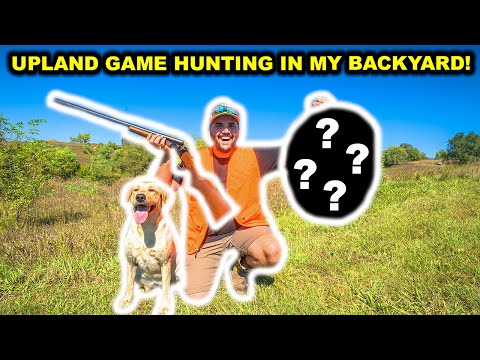BACKYARD Upland Game Hunting CHALLENGE!!! (Catch Clean Cook)