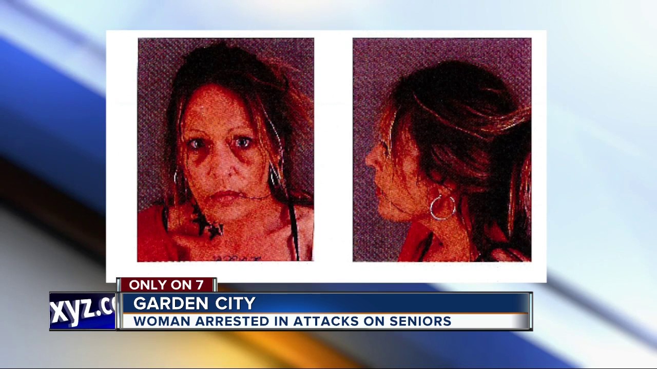 Woman arrested for attack, robbery of senior citizens in metro Detroit