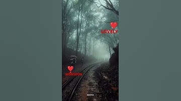 Lovely monsoon in jungle ❣️🥰#feel this song#youtube shorts