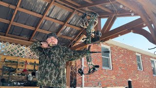 Backyard Bows Darton Sequel 33 Review (Best Performance/Price Ratio)