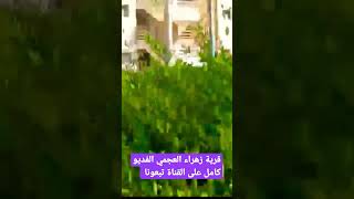 قرية زهراء العجمي إسكندرية الآن