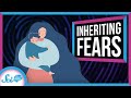 You Can Inherit Fear?