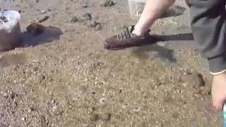 Download Sale nella sabbia...SUPER PESCA di cannolicchi!!! Sale nella sabbia...SUPER PESCA di cannolicchi!!!