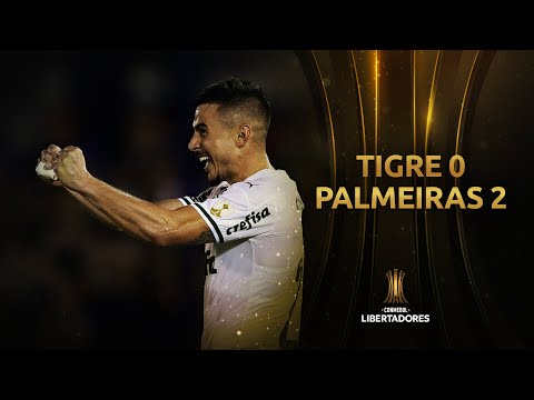 Tigre Palmeiras Goals And Highlights