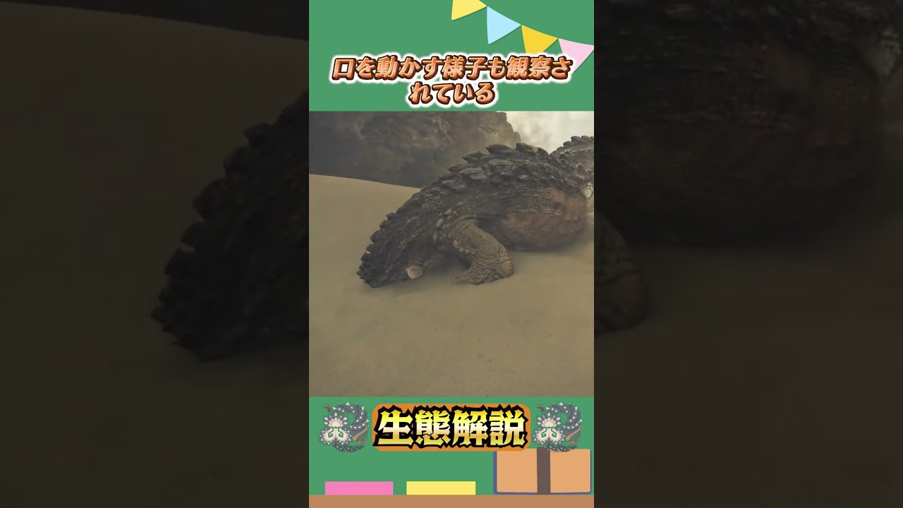 【モンハンワイルズ】バーラハーラって知ってる?【生態解説】#モンハン