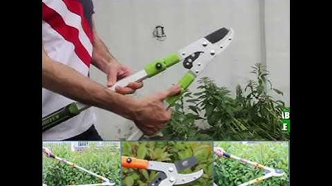 KÉO CẮT TỈA CÀNH CÂY - Made in GERMANY