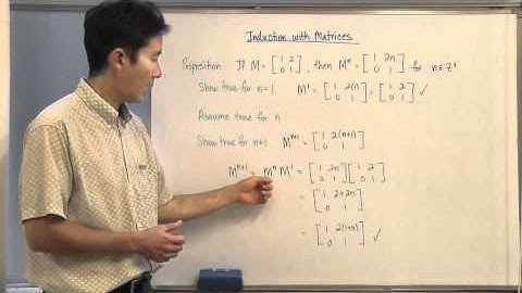 Section 13G Induction with Matrices