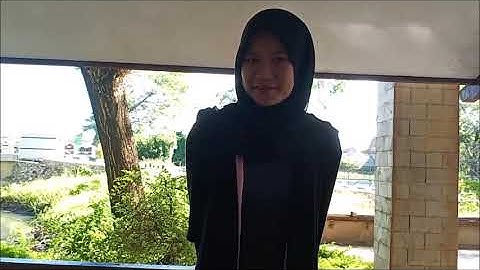 Discourse Aspects of Interlanguage