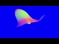 Classixx - 