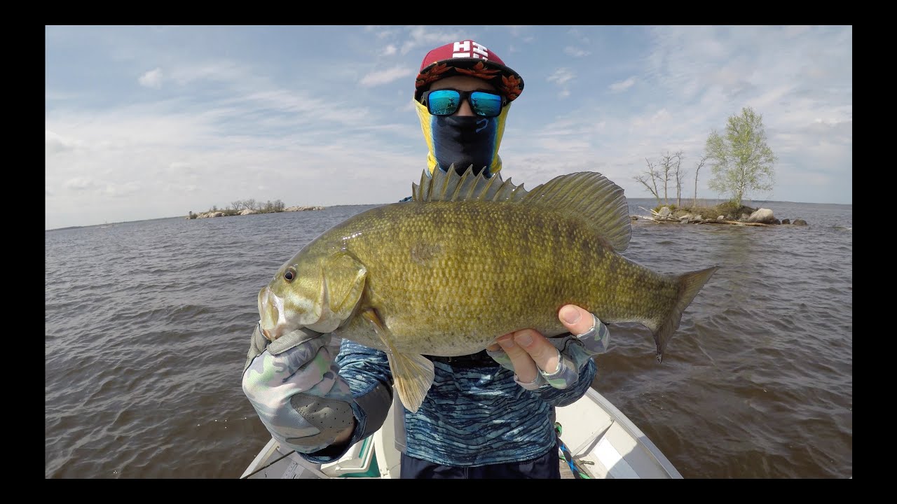 50 Bass In One Day | Spring Smallmouth Bass Fishing Manitoba 