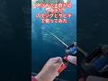 メジカの群れをジグサビキで狙ってみた#釣り #ジグサビキ #fishing