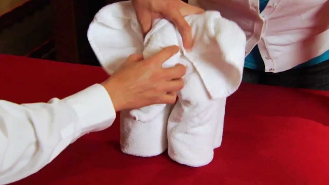 Learning How To Make Towel Animals on the Carnival Dream! - YouTube