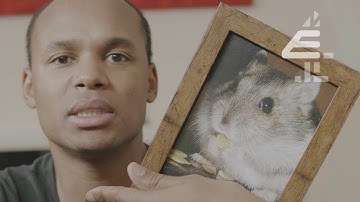 My Hamster Was Radicalised: Animal Liberation?