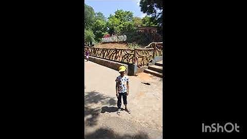 Deer in the zoo full map of zoo #sbo #sbotvm #workfromhome #earnmoneyonline