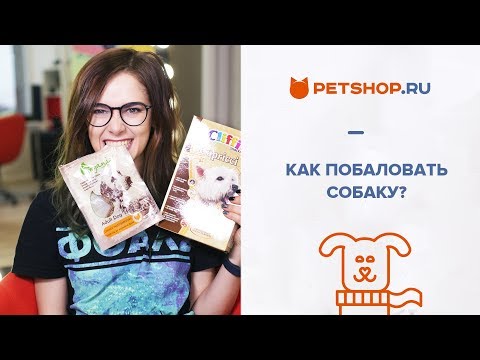 ЗАЧЕМ НУЖНЫ ЛАКОМСТВА ДЛЯ СОБАК? ВИДЫ ЛАКОМСТВ