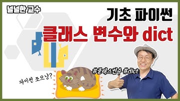15_5 클래스변수와__dict__(널널한 교수의 기초 파이썬) ft. 파이썬 코딩