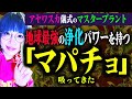 とにかくやばい…アヤワスカ儀式で使う「マパチョ」を吸うと体と心に異変が起きる！シャーマンタバコ、祈り、精霊、グラウンディング