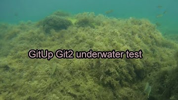 git2 underwater #2