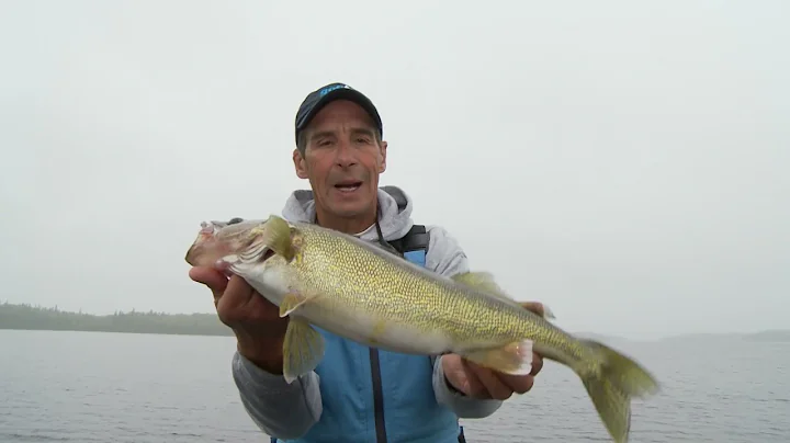 James Lindner: Trolling to find the fish in Sunset...