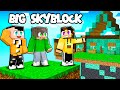 HO COSTRUITO LA MIA CASA. WOW! - BIG SKYBLOCK - MINECRAFT ITA