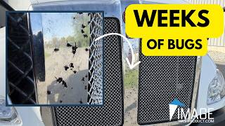 Weeks of Florida Bugs GONE (Owner Reaction at End)
