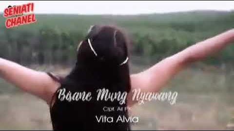 Vita alvia-bisane mung nyawang