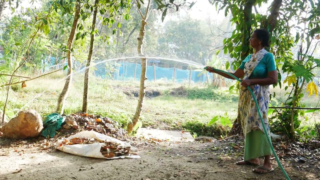 working in my village garden 