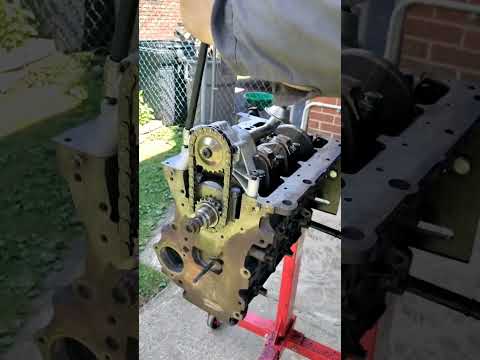 Jetta TDI Oil
