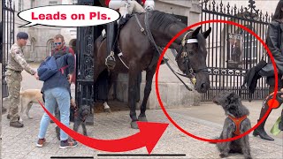 SOLDIER SWIFTLY RESPONSE TO THIS MAN WHO UNLEASHED HIS DOG AT THE FRONT OF THE KING’S HORSE!