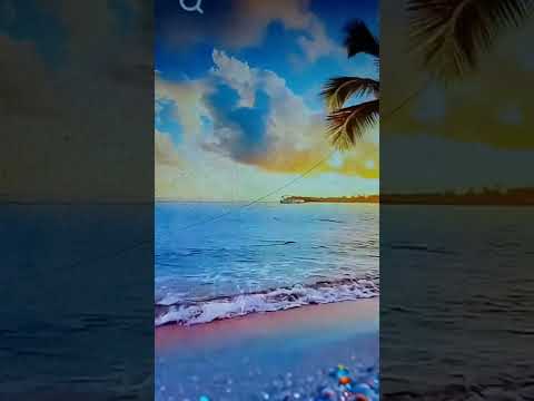هل الإنسان مسير أم مخير الرد على هند الأشعل في فيديو مسألة الحرية والإرادة الإنسانية تكوين