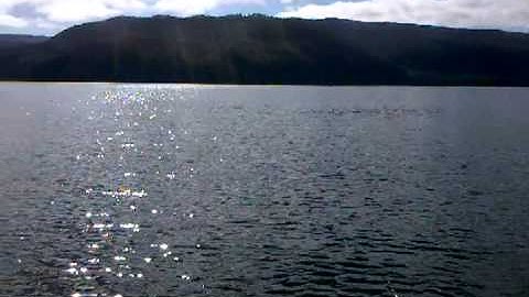 Test video from a Motorola Milestone from Telecom