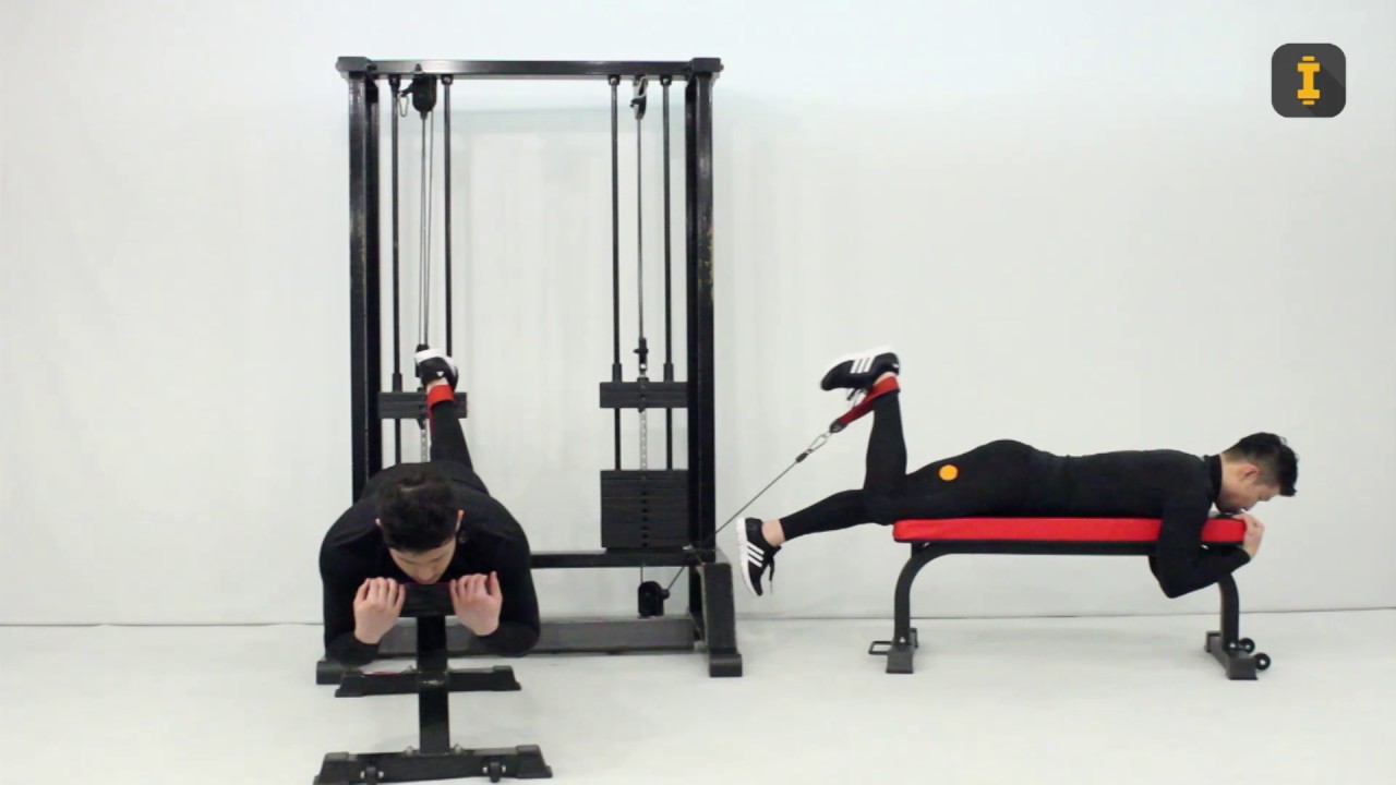419 라잉 케이블 레그 컬Lying Cable Leg Curl YouTube