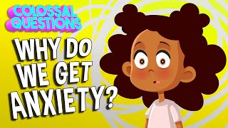 What is Anxiety & Why Do We Feel Anxious | COLOSSAL QUESTIONS