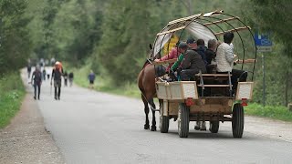 Czy konie będą wozić turystów do Morskiego Oka? „Transport w tej formule nie przetrwa” (UWAGA! TVN)