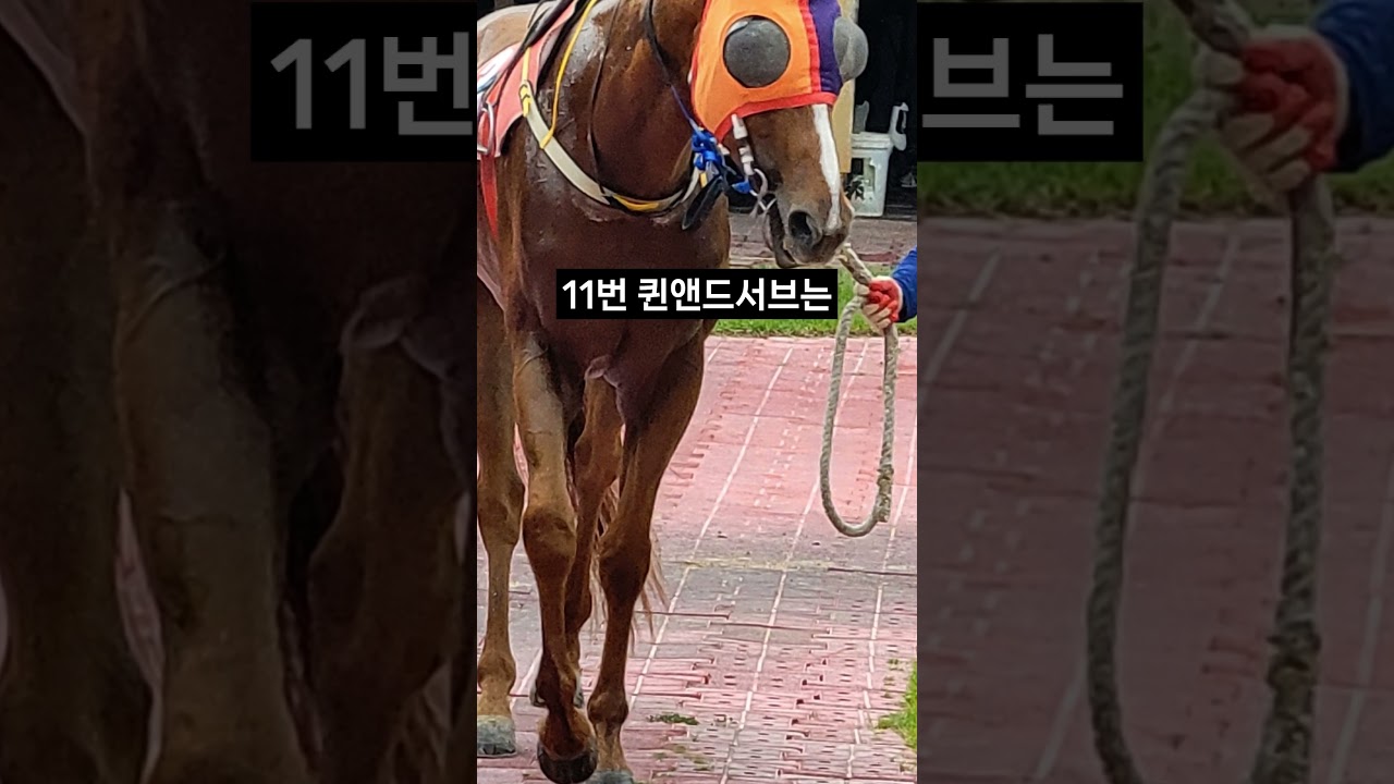 26.01.23 부산경마 09경주