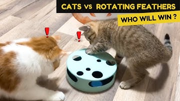 Cats vs Rotating Feather Cat Toy