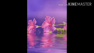 سورة الفاتحة بصوت ملائكي تخشع له القلوب