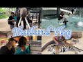 【Vlog】3歳児連れ✈️6泊7日のタイ旅行が楽しすぎました🇹🇭