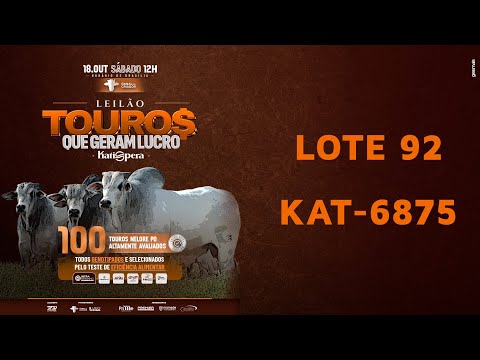 LOTE 92   KAT 6875