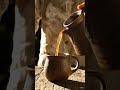 ASMR-POURING TEA