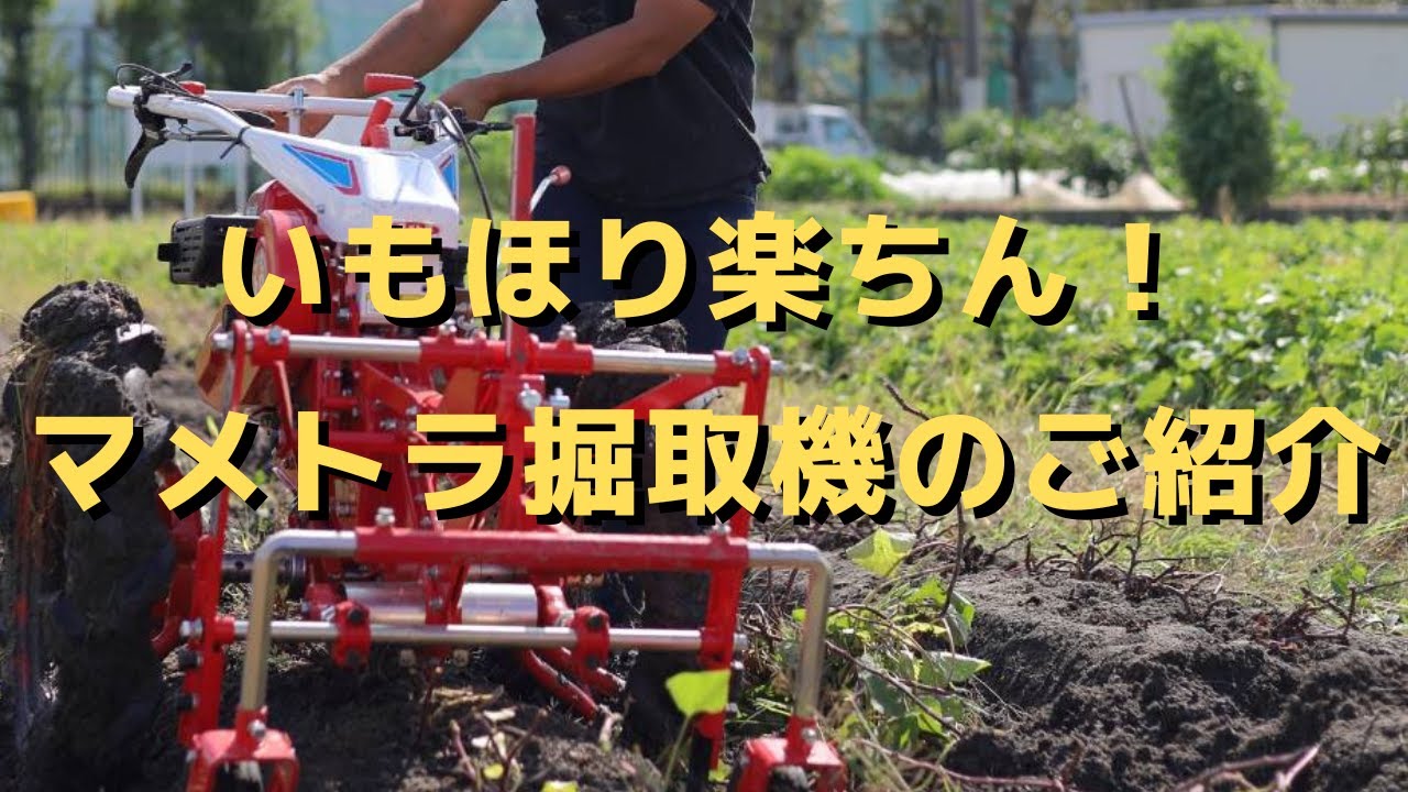 さつまいも掘り起こし機のご紹介! マメトラ農機 掘り取り機BP63 #さつまいも #サツマイモ #甘藷 #半農半x #新規就農 #農ある暮らし #農業カメラマン #専業農家