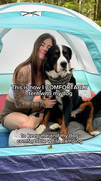 How I camp comfortably with my dog! 🏕️🐾🐶 #dogshorts #campingwithdogs #tenting #campinggear #dogs
