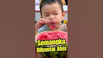 Anak ini SADIS ⁉️ Lucu, Semangka Nya Direbut Terus Sama Kakaknya 😭🍉 #funnyshorts #lucu #kocak