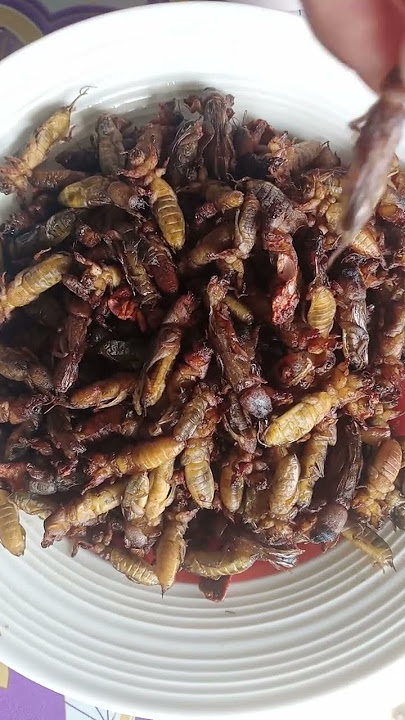#ararawan#exsotid🇵🇭