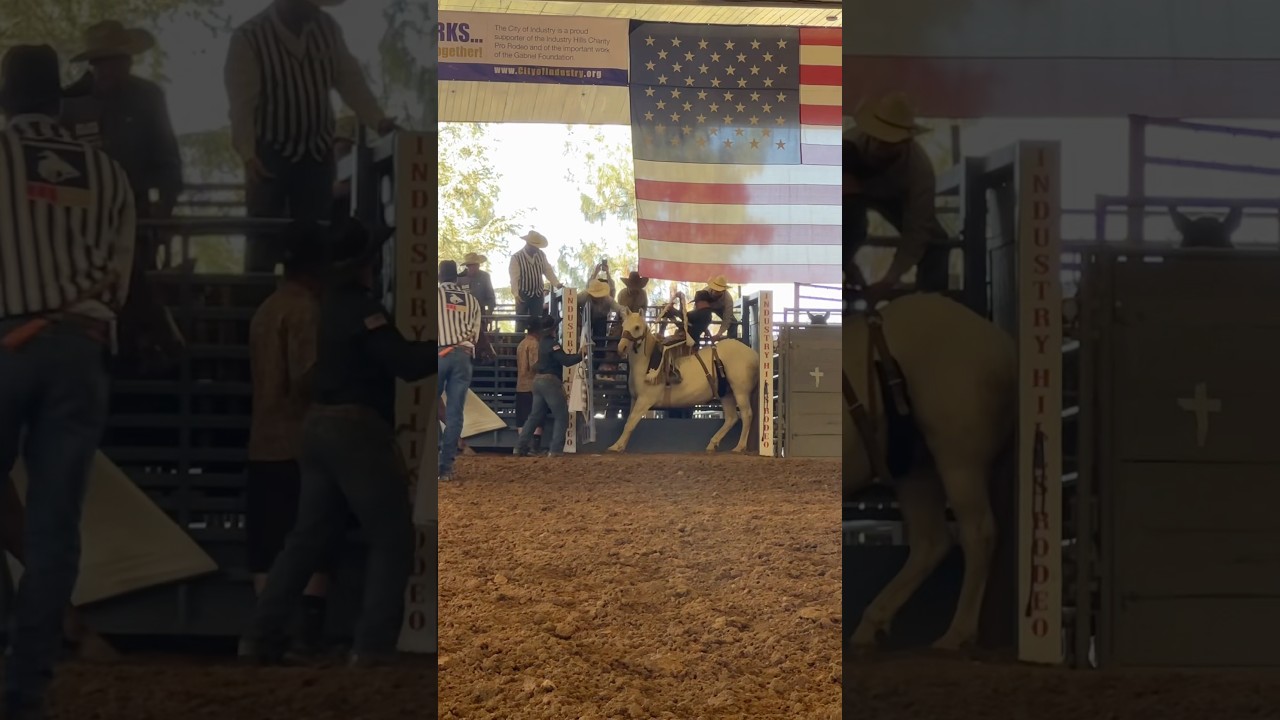 Поехать на родео в Калифорнию