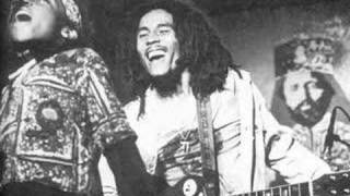 Bob Marley and Ziggy on stage - Lively up yourself boston 1976