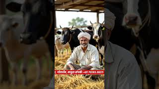 आज के समय गोपालन में अति सुधार की आवश्यकता