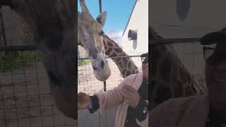 #madreehijagirafa#ZootasticPark #448 Pilch Rd, Troutman, NC 28166#cerrato #2024 #familia